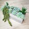11PCS Mini Artificial Succulent Picks – Flocked Faux Succulents Assortment for Mother’s Day Card Making, DIY Crafts, Wreaths, Terrariums & Home Decor